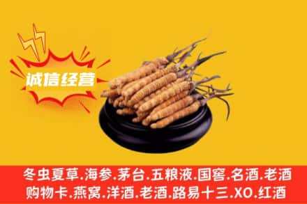 常德回收冬虫夏草